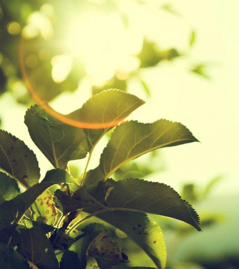 Fotowoltaika Gdańsk